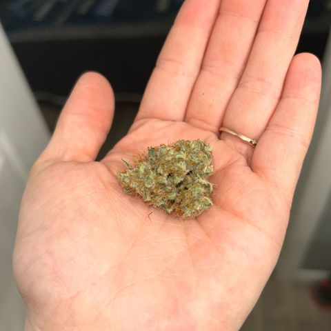 Royal Runtz #1 growlog timeline photo