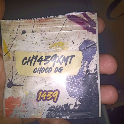 Choco OG growlog timeline photo