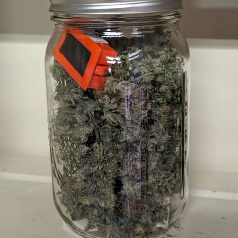 GDP1 growlog timeline photo