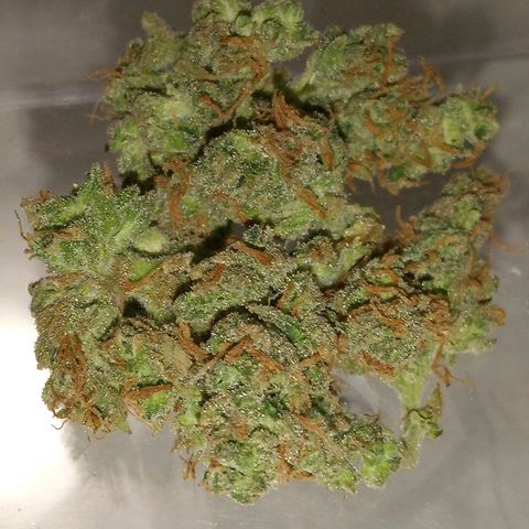 Bubble Kush Autoflower  growlog photo: Tallest of the 3 at 24 inches. Had the bigger yield of the 3 also. Smokes good, tastes okay (not great, not bad) and feels like a bedtime smoke to me. #firstgrowever #googlebabies #learnedthehardway #stillproducedsomesmoke
#win