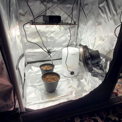 Speakeasy Sidecar Auto Front Pot X growlog timeline photo