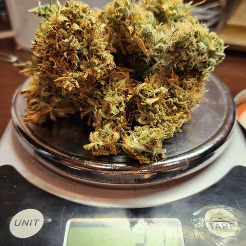 Speakeasy Sidecar Auto Front Pot X growlog timeline photo