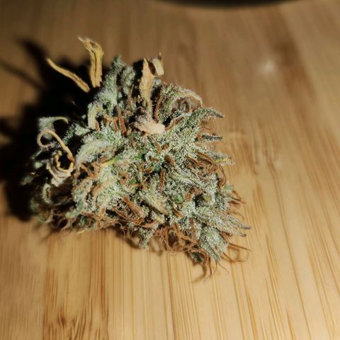 Speakeasy Sidecar Auto Front Pot X growlog timeline photo