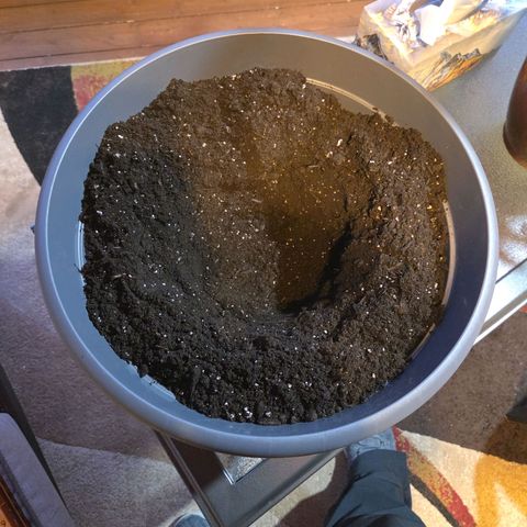 Mauricette growlog photo: 2 mois de travail 