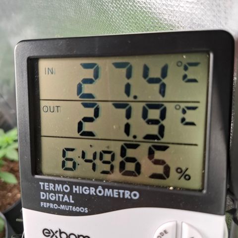 Lemon Haze XXL Auto growlog timeline photo