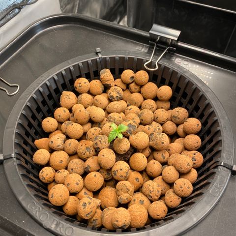 Wedding Cake - Photo - Wanda growlog timeline photo