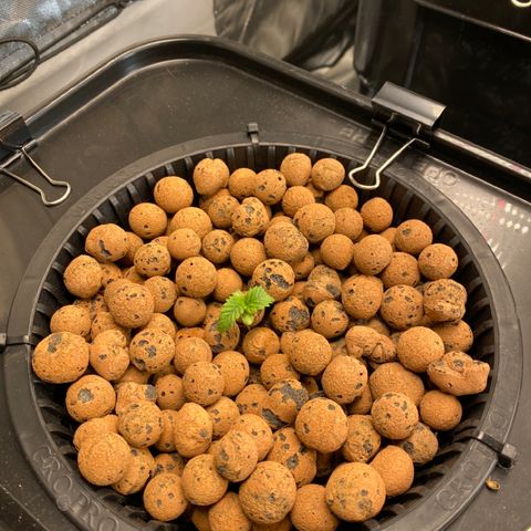 Wedding Cake - Photo - Wanda growlog timeline photo