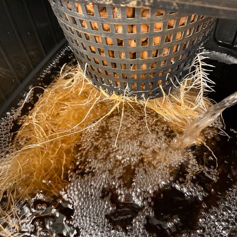 Wedding Cake - Photo - Wanda growlog timeline photo