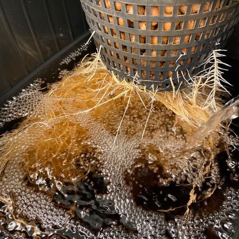 Wedding Cake - Photo - Wanda growlog timeline photo