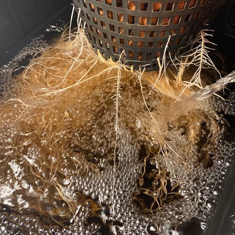 Wedding Cake - Photo - Wanda growlog timeline photo