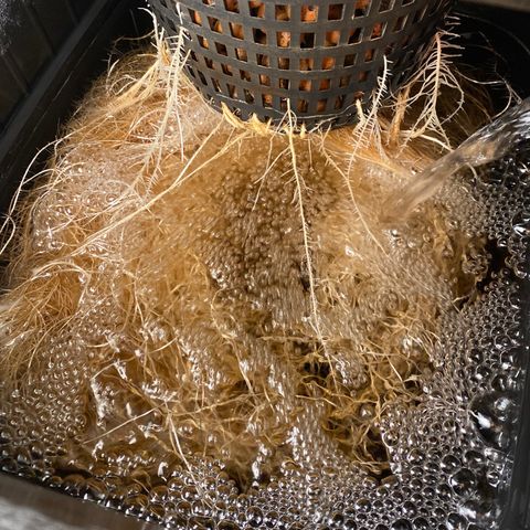 Wedding Cake - Photo - Wanda growlog timeline photo
