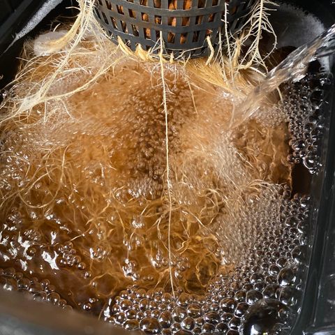 Wedding Cake - Photo - Wanda growlog timeline photo