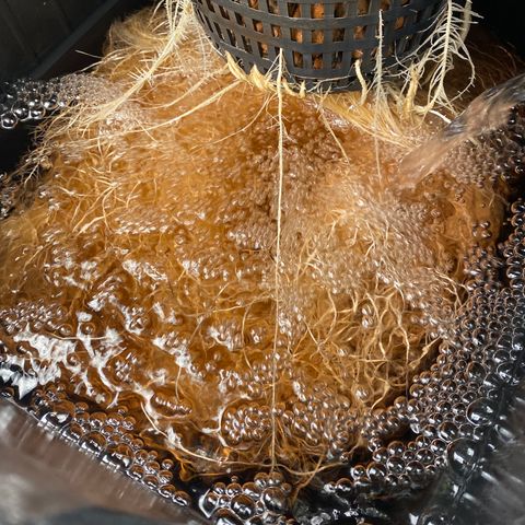 Wedding Cake - Photo - Wanda growlog timeline photo