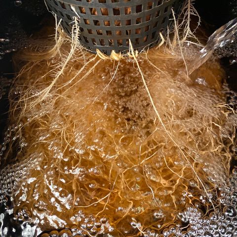 Wedding Cake - Photo - Wanda growlog timeline photo