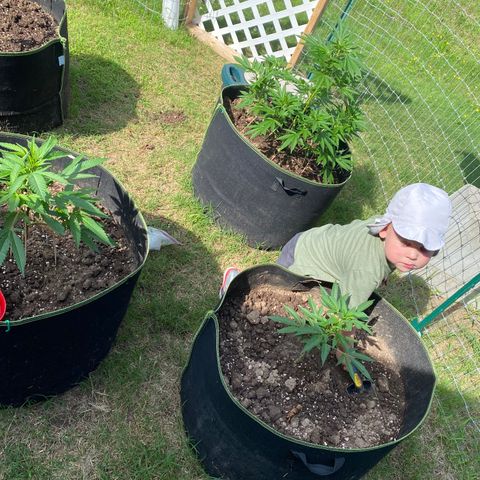 Girl Crush - I growlog timeline photo