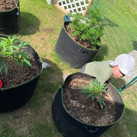 Girl Crush - I growlog timeline photo