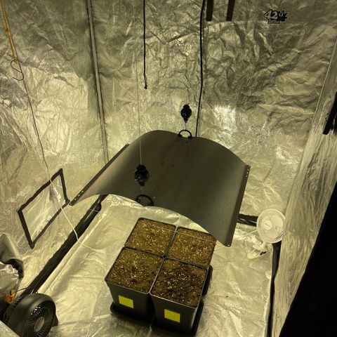 Jack 47 Auto #1 growlog timeline photo