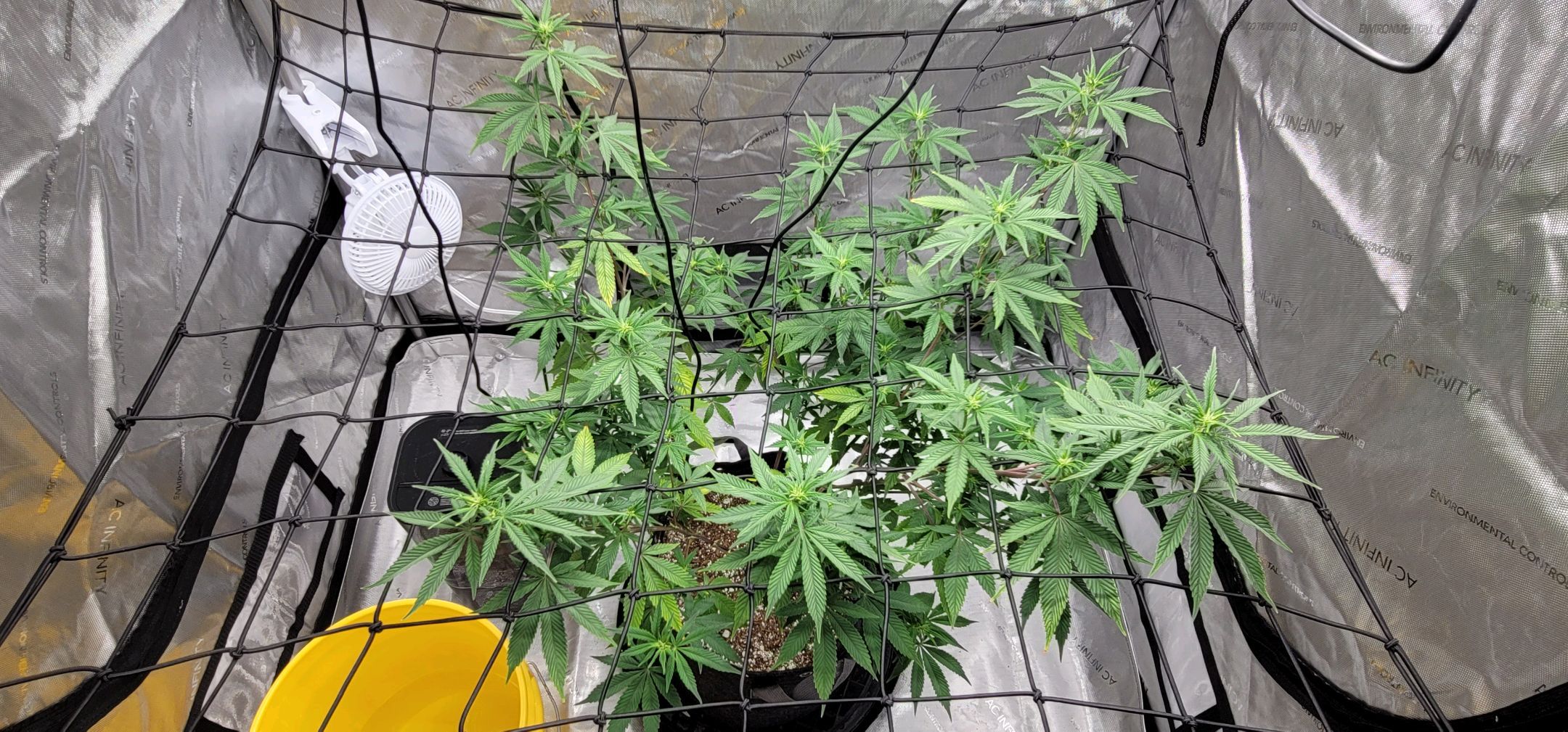 April growlog header