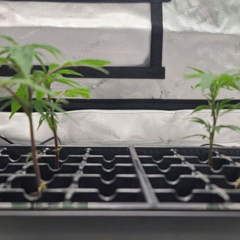 April growlog timeline photo