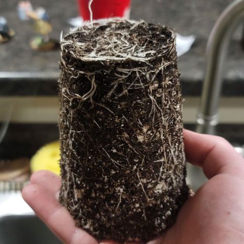April growlog timeline photo