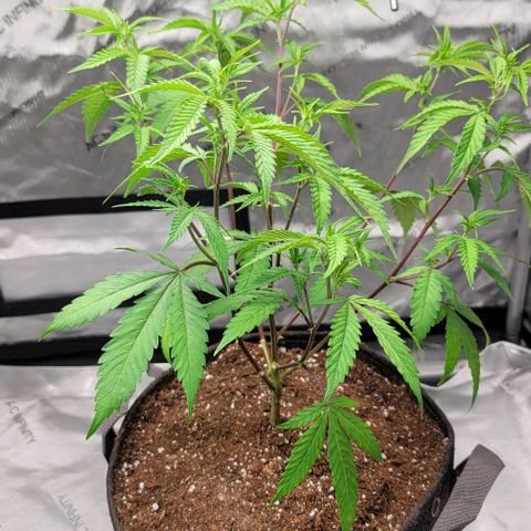 April growlog timeline photo
