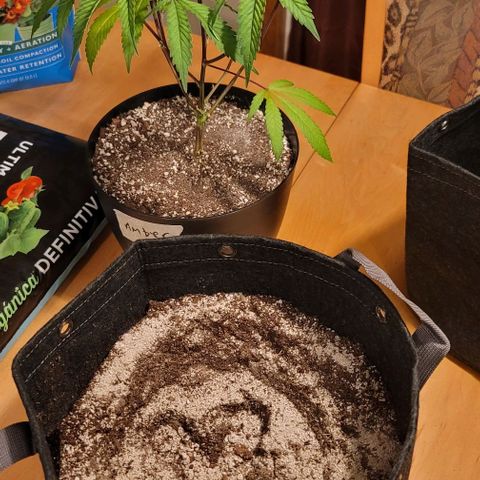 April growlog timeline photo