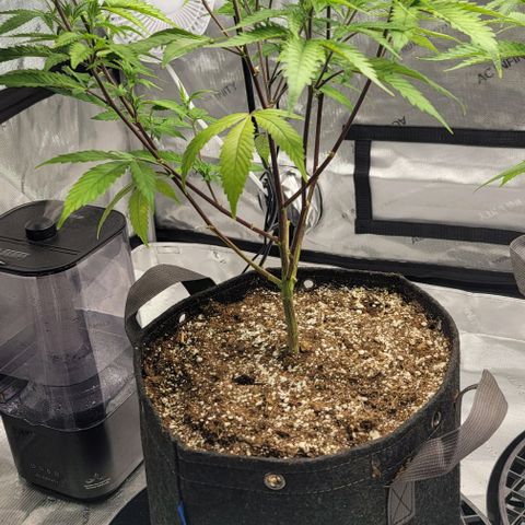 April growlog timeline photo