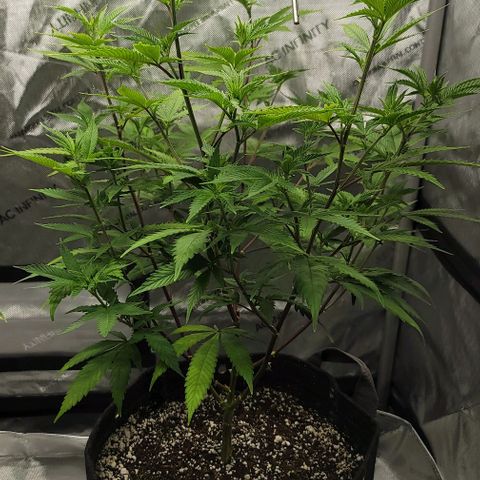 April growlog timeline photo