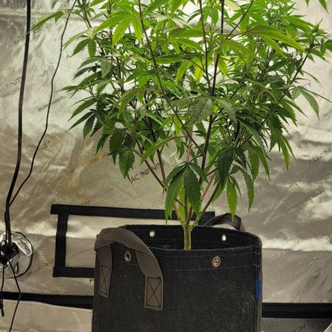 April growlog timeline photo