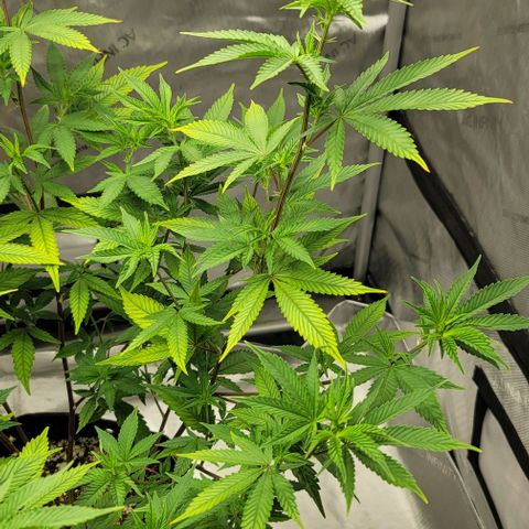 April growlog timeline photo