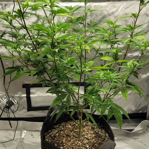 April growlog timeline photo