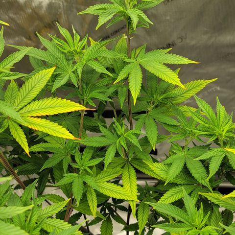 April growlog timeline photo