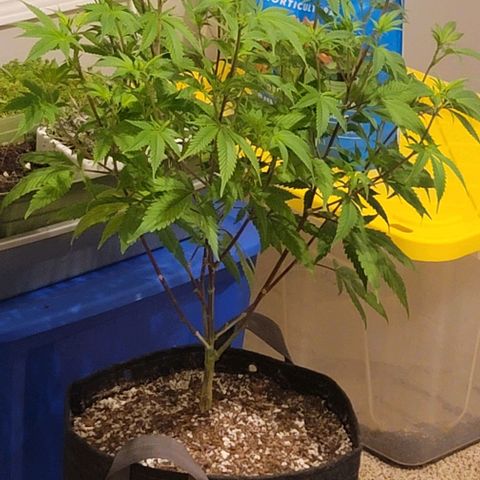 April growlog timeline photo
