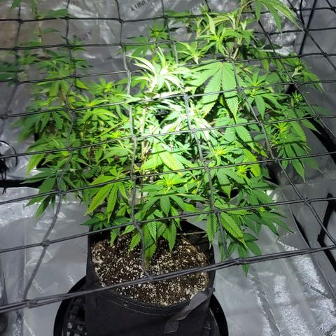 April growlog timeline photo
