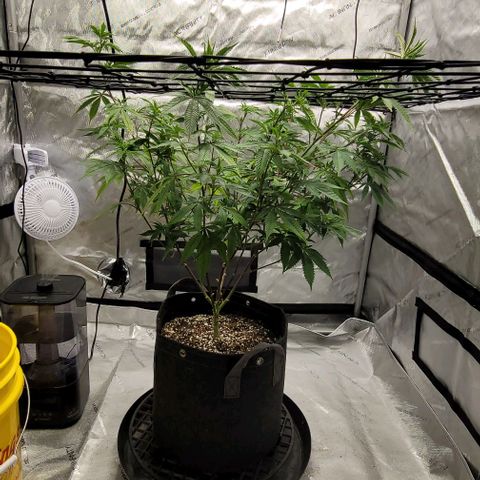 April growlog timeline photo