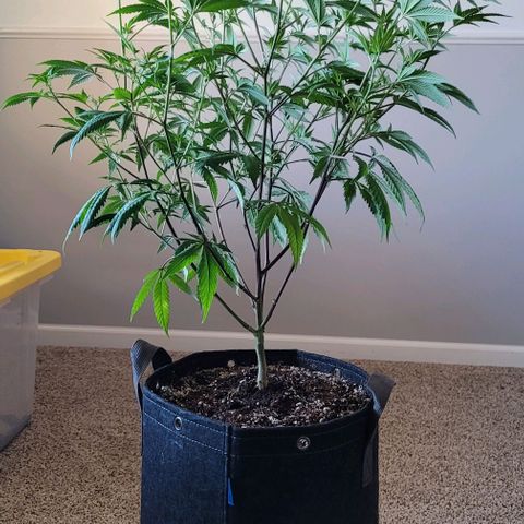 April growlog timeline photo