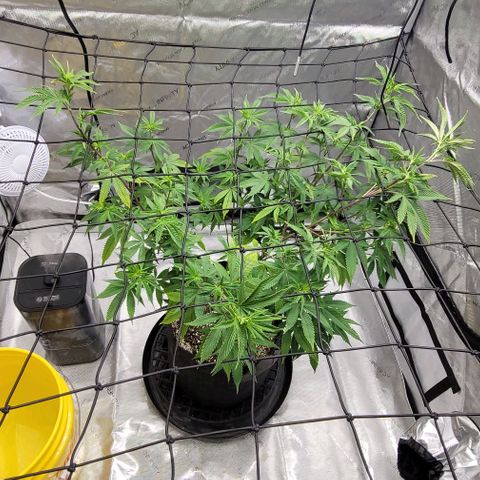 April growlog timeline photo