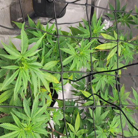 April growlog timeline photo