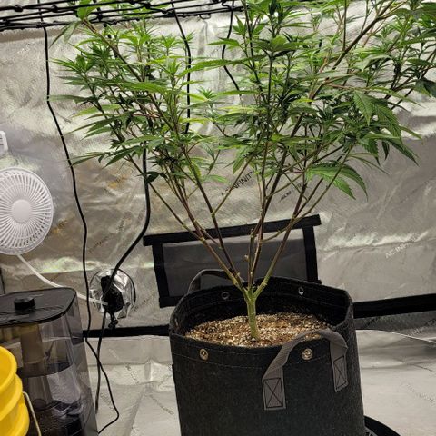 April growlog timeline photo