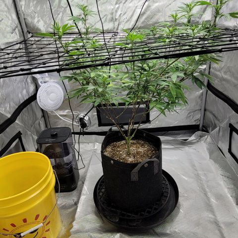 April growlog timeline photo