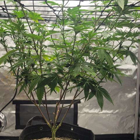 April growlog timeline photo