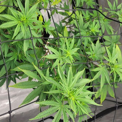 April growlog timeline photo