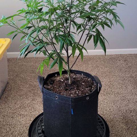 April growlog timeline photo
