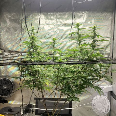 April growlog timeline photo