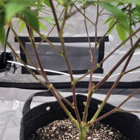 April growlog timeline photo
