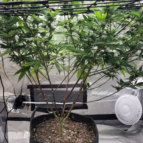 April growlog timeline photo