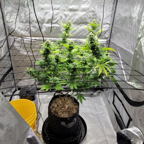 April growlog timeline photo