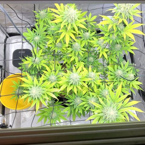 April growlog timeline photo