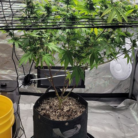 April growlog timeline photo