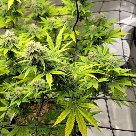 April growlog timeline photo